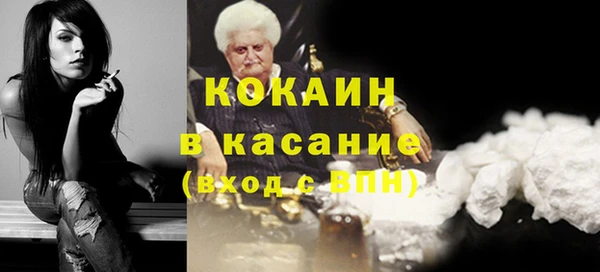 сатива Арсеньев