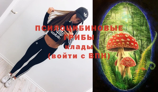 скорость Балахна