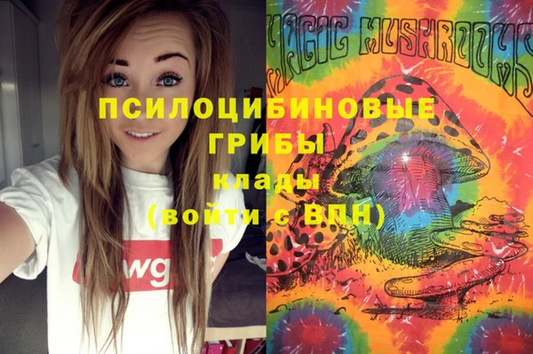 сатива Арсеньев
