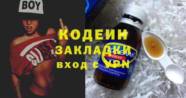 сатива Арсеньев