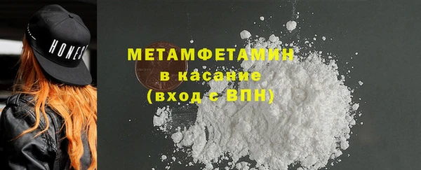 сатива Арсеньев